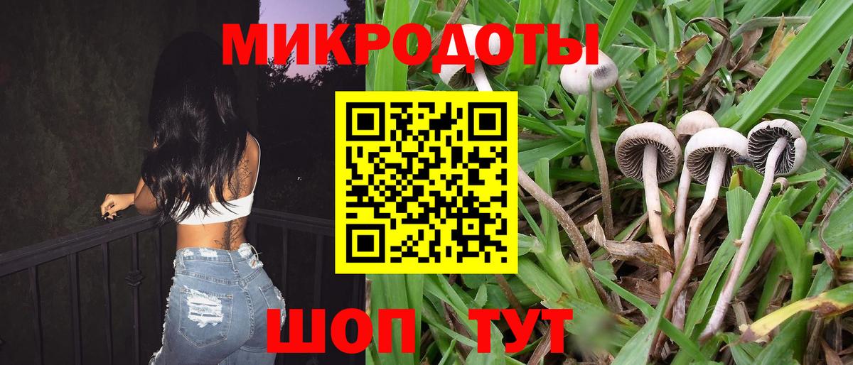 где можно купить   Псилоцибиновые грибы Cubensis  Вход с VPN  Щёлково  Псилоцибиновые грибы ЛСД 