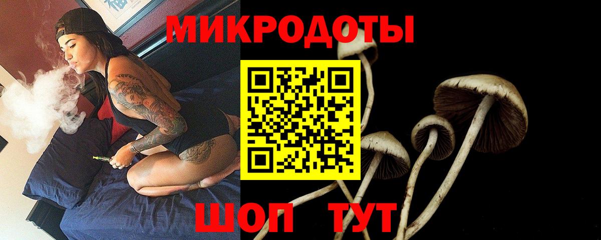 Псилоцибиновые грибы мицелий Щёлково